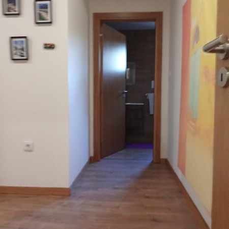 Suites Passadicos Do Paiva E Ponte Suspensa Cinfães Esterno foto